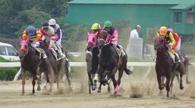 🏇 사가 경마장 (사가케이바조) 이미지 2